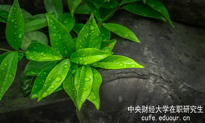 中央財經(jīng)大學(xué)同等學(xué)力申碩達到多少分才算通過(guò)考試？