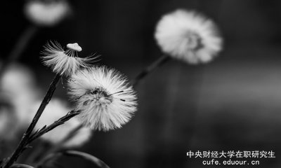 想上中央財經(jīng)大學(xué)在職研究生去哪里報名？