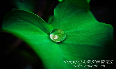 報考中央財經(jīng)大學(xué)在職研究生能升職嗎？