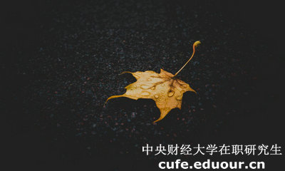 中央財經(jīng)大學(xué)在職研究生與課程研修班有哪些區別？