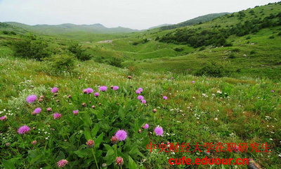 中國財經(jīng)大學(xué)在職研究生可以不考試么？