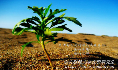 中央財經(jīng)大學(xué)在職研究生同等學(xué)力申碩有哪些優(yōu)勢？